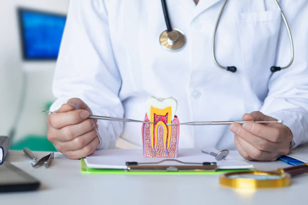 Best Pediatric Emergency Dentist in Park Hill, OK